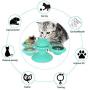 pawstrip Windmill Cat Toy, Pet Interactive Training Teasing Toys, Catnip Turntable Cat Toothbrush Interactive Cat Toy with Suction Cup and Light Balls
