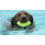 Hero Action, Durable Floating Foam Ring Dog Toy for Tossing, Fetching & Chewing