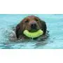 Hero Action, Durable Floating Foam Ring Dog Toy for Tossing, Fetching & Chewing Hero Action, Durable Floating Foam Ring Dog Toy for Tossing, Fetching & Chewing