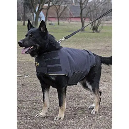 Julius-K9 14SCW Anti Shank Stab Vest with Pressure Distributor for Service Dogs, One Size Julius-K9 14SCW Anti Shank Stab Vest with Pressure Distributor for Service Dogs, One Size
