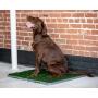 Silver Paw Potty Patch Dog Potty – Replaces Wee Wee Pads – The Best Pet Turf Potty Training Tool – Works for Puppies & Adult Dogs – For Big Dogs