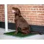 Silver Paw Potty Patch Dog Potty – Replaces Wee Wee Pads – The Best Pet Turf Potty Training Tool – Works for Puppies & Adult Dogs – For Big Dogs Silver Paw Potty Patch Dog Potty – Replaces Wee Wee Pads – The Best Pet Turf Potty Training Tool – Works for Puppies & Adult Dogs – For Big Dogs