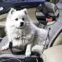GTOTd Pet Dog Cat Car Seat Belt Safety Adjustable Leads Vehicle Seatbelt Harness ( and 2 Packs Collapsible Dog Bowl ).Portable Travel Pet Set