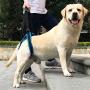 ROZKITCH Pet Dog Support Harness Rear Lifting Harness Veterinarian Approved for Old K9 Helps with Poor Stability, Joint Injuries Elderly and Arthritis ACL Rehabilitation Rehab