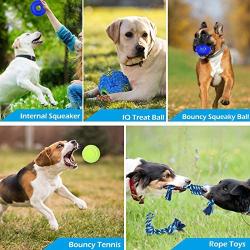 Yipetor Dog Squeaky Toy Ball, Aggressive Chewers, TPR Rubber Soft Spiked Ball Interactive Toys, Water Toy, High Bounce Tennis, IQ Training Ball, Rope, Teeth Cleaning, for Medium Large Dogs (6 Pack)