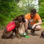 Kurgo Gourd 2 in 1 Dog Travel Water Bottle, Pet Water Bottle, Portable Water Dish for Dogs, Detachable Bowl, PVC/BPA Free, Dishwasher Safe, Holds 24 oz