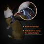 Cinf Summer Dog Harness No-Pull Walking Light Pet Harness Not Tight Adjustable Outdoor Breathable Pet Vest Reflective Oxford Material Vest Easy Control Small Medium Large Dogs Pet Supplies