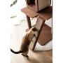PetPals Four-Level Voyage, Cat Activity Tree with Replaceable Scratching pad.