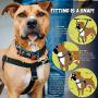 2 Hounds Design Freedom No-Pull Dog Harness Training Package, X-Large, Raspberry