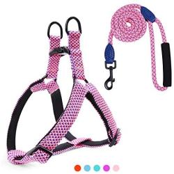 Hikiko Dog Harness and Leash Set,No Pull Adjustable Soft Pet Harness Vest Set with 4FT Training Dog Leash Easy to Control Suitable for Small Medium Large Dogs