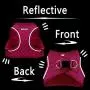 azuza Dog Harness for Small Dogs, Reflective Step in Dog Vest Harness, All Weather Comfort Air Mesh Puppy Harness azuza Dog Harness for Small Dogs, Reflective Step in Dog Vest Harness, All Weather Comfort Air Mesh Puppy Harness
