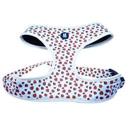 Atlas Rising Dog Harness