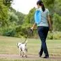 SKYFIELD Dog Pooper Scooper, 3-Stage Extendable Metal Dog Poop Scooper for Large Dogs