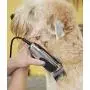 Andis 23585 EasyClip Whisper 12-Piece Adjustable Blade Clipper Kit, Pet Grooming, PM-4 Andis 23585 EasyClip Whisper 12-Piece Adjustable Blade Clipper Kit, Pet Grooming, PM-4