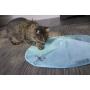SmartyKat Hot Pursuit Cat Toy Concealed Motion Toy, Blue