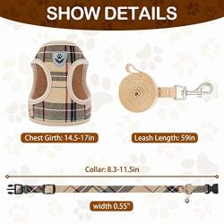 Puppy Harness and Leash Set - Dog Collar and Leash for Small Dogs Puppies, No Pull Plaid Dog Vest Harness for Outdoor Walking