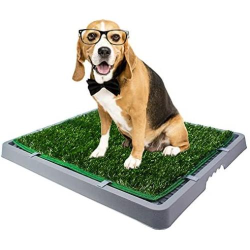 HAVETOLOVE Artificial Grass Potty pad for Dogs, Fake Grass for Dogs to Pee on Indoor or Outdoor, Portable Dog Pee Grass for Full System with Tray and 2 Packs Replacement Grass Mats（21x26）