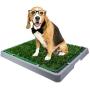 HAVETOLOVE Artificial Grass Potty pad for Dogs, Fake Grass for Dogs to Pee on Indoor or Outdoor, Portable Dog Pee Grass for Full System with Tray and 2 Packs Replacement Grass Mats（21x26）