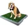 HAVETOLOVE Artificial Grass Potty pad for Dogs, Fake Grass for Dogs to Pee on Indoor or Outdoor, Portable Dog Pee Grass for Full System with Tray and 2 Packs Replacement Grass Mats(21x26) HAVETOLOVE Artificial Grass Potty pad for Dogs, Fake Grass for Dogs to Pee on Indoor or Outdoor, Portable Dog Pee Grass for Full System with Tray and 2 Packs Replacement Grass Mats(21x26)