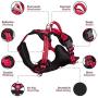 Tuff Pupper Small (13-17’) Heavy Duty Dog Collar with Handle and Medium Midnight Blue Metro - No Pull Dog Harness Bundle