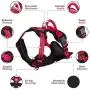 Tuff Pupper Small (13-17’) Heavy Duty Dog Collar with Handle and Medium Midnight Blue Metro - No Pull Dog Harness Bundle