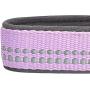 Blueberry Pet 10+ Colors Soft & Safe 3M Reflective Pastel Color Neoprene Padded Dog Collars