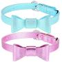 Puppy Puzzle Toys and Cat Collar Set Bow