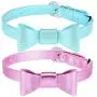 Puppy Puzzle Toys and Cat Collar Set Bow Puppy Puzzle Toys and Cat Collar Set Bow
