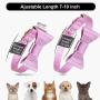 Puppy Puzzle Toys and Cat Collar Set Bow