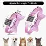 Puppy Puzzle Toys and Cat Collar Set Bow Puppy Puzzle Toys and Cat Collar Set Bow