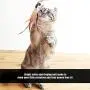 Fabater Firm Convenient Eco-Friendly Portable Durable Cat Play Toy, Play and Scratch Cat Toy, Entertainment for Kitten Work Out Cat