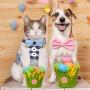 Weewooday 6 Pieces Small Dog Harness and Leash Set No Pull Pet Harness Soft Mesh Vest with Cute Bows Reflective Cat Collars Breakaway with Bell for Small Dogs and Cats