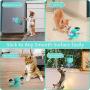 pawstrip Windmill Cat Toy, Pet Interactive Training Teasing Toys, Catnip Turntable Cat Toothbrush Interactive Cat Toy with Suction Cup and Light Balls