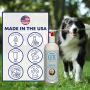 EQyss Elite Anti-Itch Pet Shampoo - Anti-Itch Shampoo Fortified with Aloe for Immediate Relief. 16 oz
