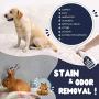 ZENAPOKI - Professional Quality Stain and Pet Odor Eliminator Spray, for Dogs and Cats - Pets House Spray, Cat and Dog Scent Remover with Natural Linen Scent - Pet Odor Smell Supplies