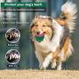 Fairwin Ultra-Durable Dog Chew Toys for Large Breed - Indestructible Tough Dog Toys for Boredom - Lifetime Replacement - Interactive Dog Toys Pet Bite Resistant Ball Toys