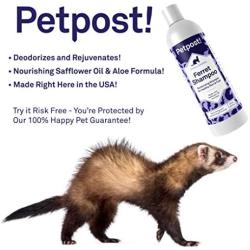 Petpost | Ferret Shampoo - Naturally Effective Deodorant Shampoo for Ferrets and Small Animals - Healthy Skin & Coat Formula
