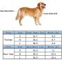 Dog Lift Harness, Front Rear Leg Dog Sling Support Walking Aid for Senior Disabled Joint Injuries Dogs Walk