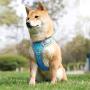 FULVARA Dog Harness No Pull Pet Harness, Reflective Dog Vest, Adjustable No Choke with Front and Back Leash Hooks Harness Breathable Soft Mesh for Small Medium Large Dogs