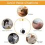 GiWuh Interactive Cat Toys for Indoor, Balance Car Design, Wheel Training Toys with Tumbler Balanced, Pet Toys, Kitten Sports Educational Toys