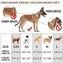 KITTYWOO Dog Harness Leash Set No Pull Dog Harness Puppy Padded Mesh Vest with Leash Set Easy Put On & Take Off Vest Harness for Small to Large Breed Pets