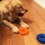 Jalousie Dog Squeaky Toys Value Set Non-Toxic Dog Squeaky Balls for Dogs Toss Fetch Toys for Dogs TPR Rubber Puppy Toys Spikey Dog Chew Toys for Small Medium Dogs Pet Toys for Puppy