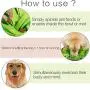 Hestarpet Pet Snuffle Mat for Dogs, Interactive Puzzle Dispenser Toy, Pet Slow Feeding Pad, Nosework Sniffing Bowl for Encourgaing Natural Foraging Skills for Dogs Cats Hestarpet Pet Snuffle Mat for Dogs, Interactive Puzzle Dispenser Toy, Pet Slow Feeding Pad, Nosework Sniffing Bowl for Encourgaing Natural Foraging Skills for Dogs Cats