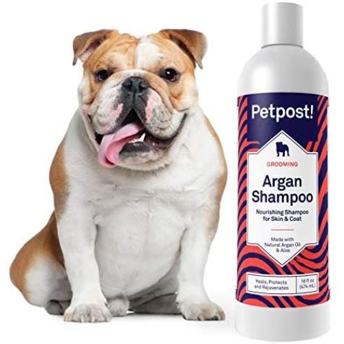 Petpost | Argan Shampoo for Dogs - Naturally Heals, Protects, & Rejuvenates Dog Dry Skin & Coat - Argan Oil and Aloe Formula