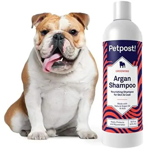 Petpost | Argan Shampoo for Dogs - Naturally Heals, Protects, & Rejuvenates Dog Dry Skin & Coat - Argan Oil and Aloe Formula Petpost | Argan Shampoo for Dogs - Naturally Heals, Protects, & Rejuvenates Dog Dry Skin & Coat - Argan Oil and Aloe Formula