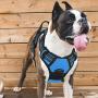 Vovodog Dog Harness No-Pull Pet Harness, Adjustable Outdoor Walking Pet Reflective Oxford Soft Vest with 2 Metal Rings and Handle Easy Control for Small Medium Large Dogs…