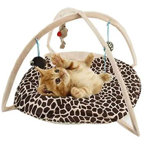 Flairstarus Cat Tent Activity Center with Hang Cat Toys Balls,Best Cat Bed Tent Kitten Mat Pet Supplies - Helps Cats Get Exercise & Stay Active (with 2 Furry Mice Cat Toys Free) Flairstarus Cat Tent Activity Center with Hang Cat Toys Balls,Best Cat Bed Tent Kitten Mat Pet Supplies - Helps Cats Get Exercise & Stay Active (with 2 Furry Mice Cat Toys Free)