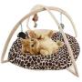 Flairstarus Cat Tent Activity Center with Hang Cat Toys Balls,Best Cat Bed Tent Kitten Mat Pet Supplies - Helps Cats Get Exercise & Stay Active (with 2 Furry Mice Cat Toys Free)