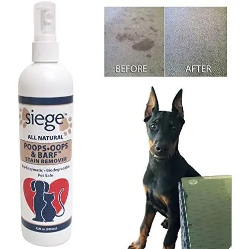 Siege Pet Stain Odor Remover Spot Cleaner Dog Urine Carpet Rug Upholstery Siege Pet Stain Odor Remover Spot Cleaner Dog Urine Carpet Rug Upholstery