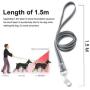 Puppy Harness and Leash Set - Dog Vest Harness for Small Dogs Medium Dogs- Adjustable Reflective Step in Harness for Dogs - Soft Mesh Comfort Fit No Pull No Choke (XS, Light Green)